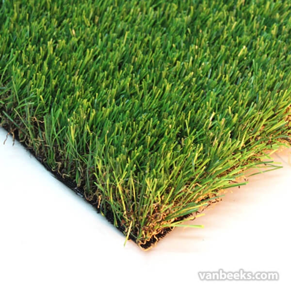 AGL Monte Carlo 60 Turf preview